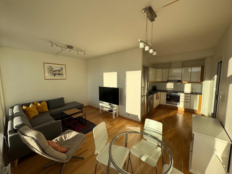 Åpen stue / kjøkken løsning